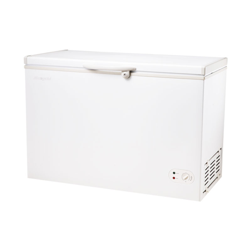 BD-308 / BD-308DC Ice Cream Showcase Chest Freezer